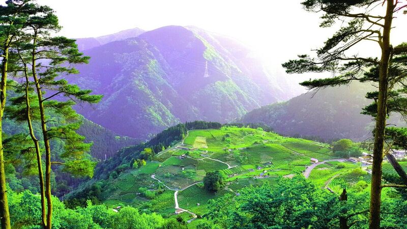 岐阜マチュピチュ