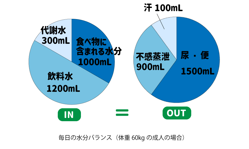 体に出入りする水分のグラフ