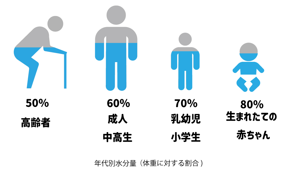 年代別体の水分量の図