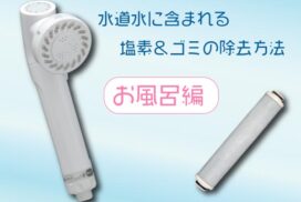 浄水シャワーヘッドとフィルターカートリッジ
