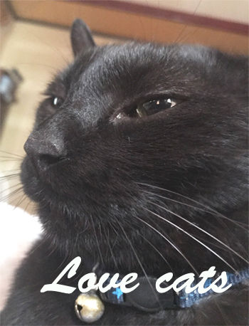 pets_2