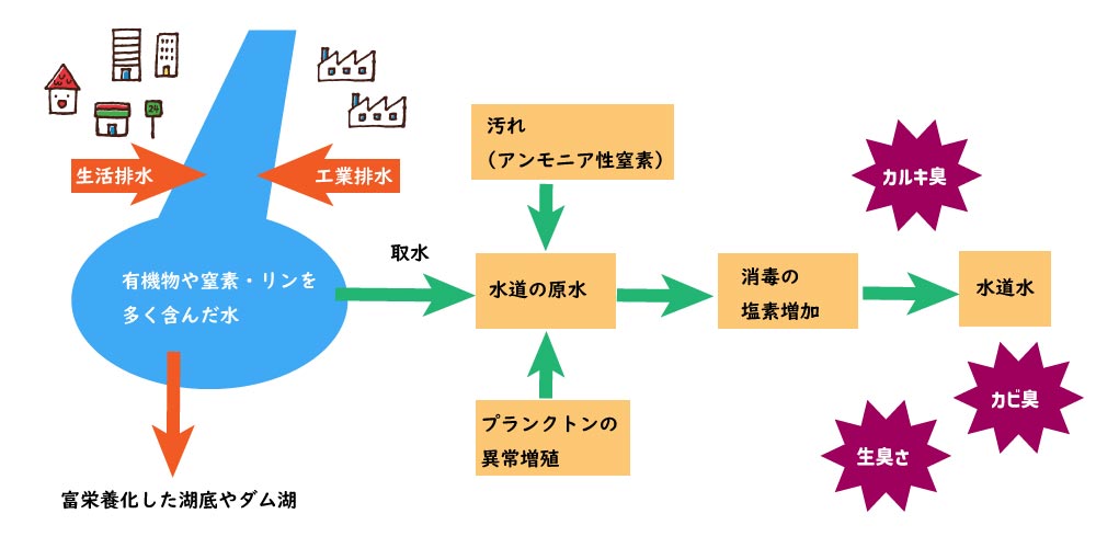 水道水の異味臭の発生メカニズムの図