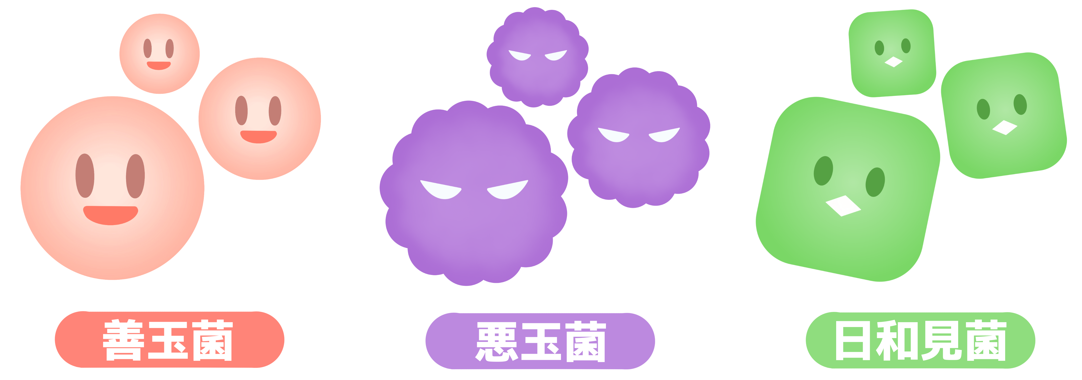常在菌のイラスト