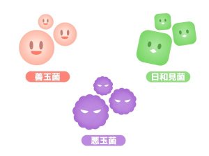 常在菌のイラスト