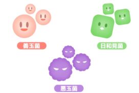 常在菌のイラスト