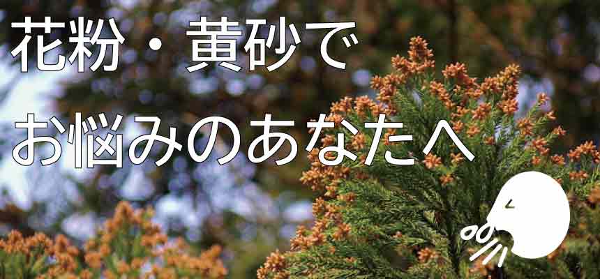 花粉症の盲点対策 花粉や黄砂の大きさ知ってますか Mizsei 水生活製作所