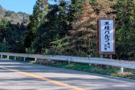 山の中の道路