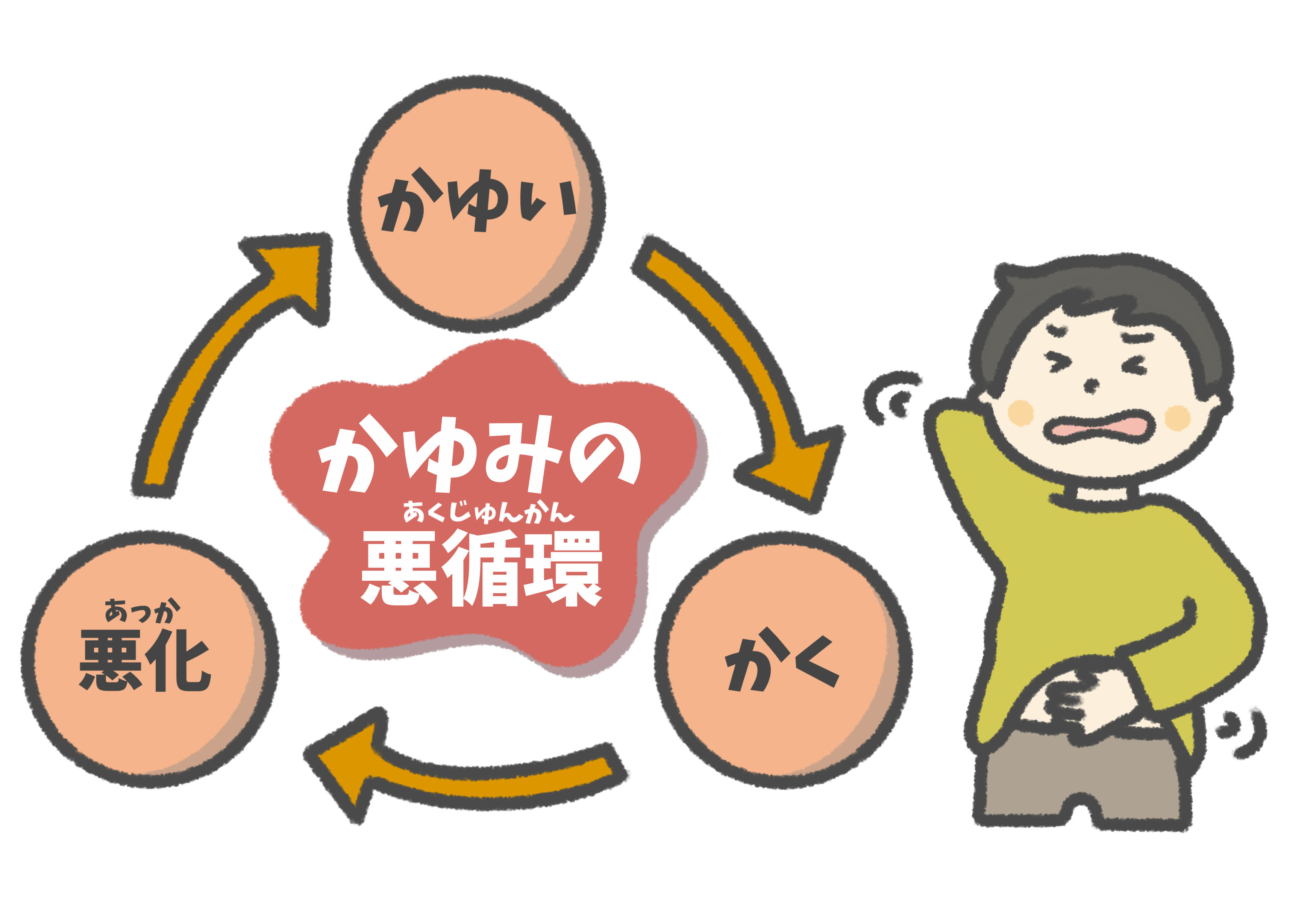 かゆみの悪循環を説明するイラスト
