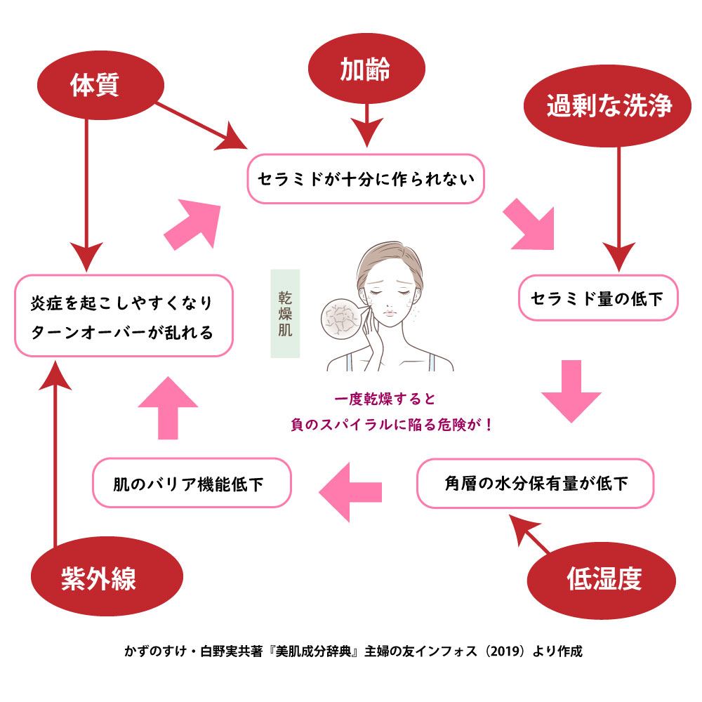 乾燥肌のメカニズムの図