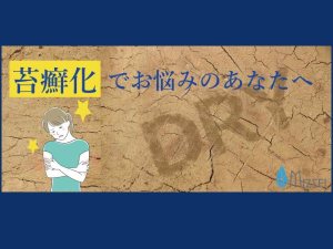 乾いた地面