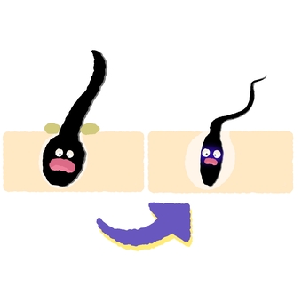 弱った毛根のイラスト