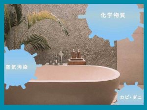 浴槽