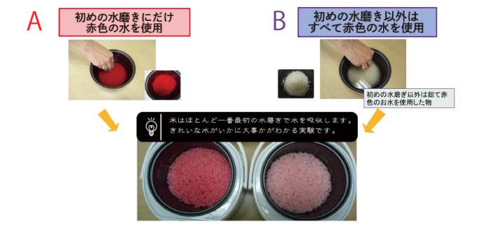 洗米の最初に使う水の方が多く給水している実験の写真