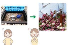 庭の水栓