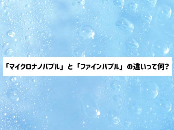 泡