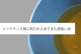 バケツに溜まった汚水
