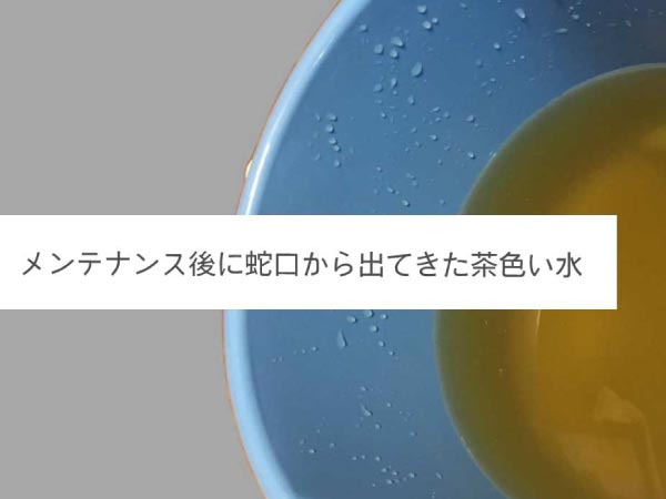 バケツに溜まった汚水