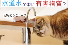 世界NO1 世界が認めた浄水器 体質改善の水 安全基準NSF認証 原発時対応