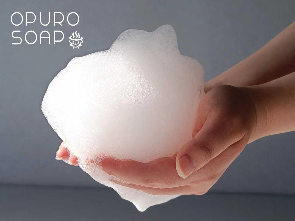 ボディソープ APROTIE HAIR AND BODY CARE Body WashZerO Amazon.com : Purezero Shea Butter & Coconut Milk Body Wash